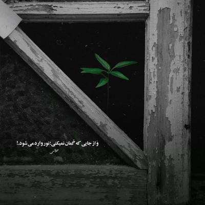 تم می چاقال آخی نینیه بیلرکی جانوارا